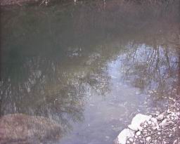 Inquinamento 24-02-05 012.jpg